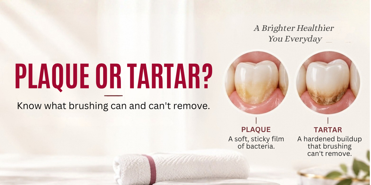 Plaque vs Tartar: What’s the Difference and Can Brushing Remove Them?
